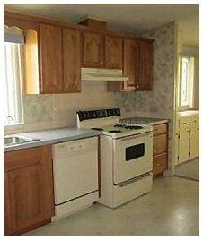 Old Electric Stove & Vent Hood